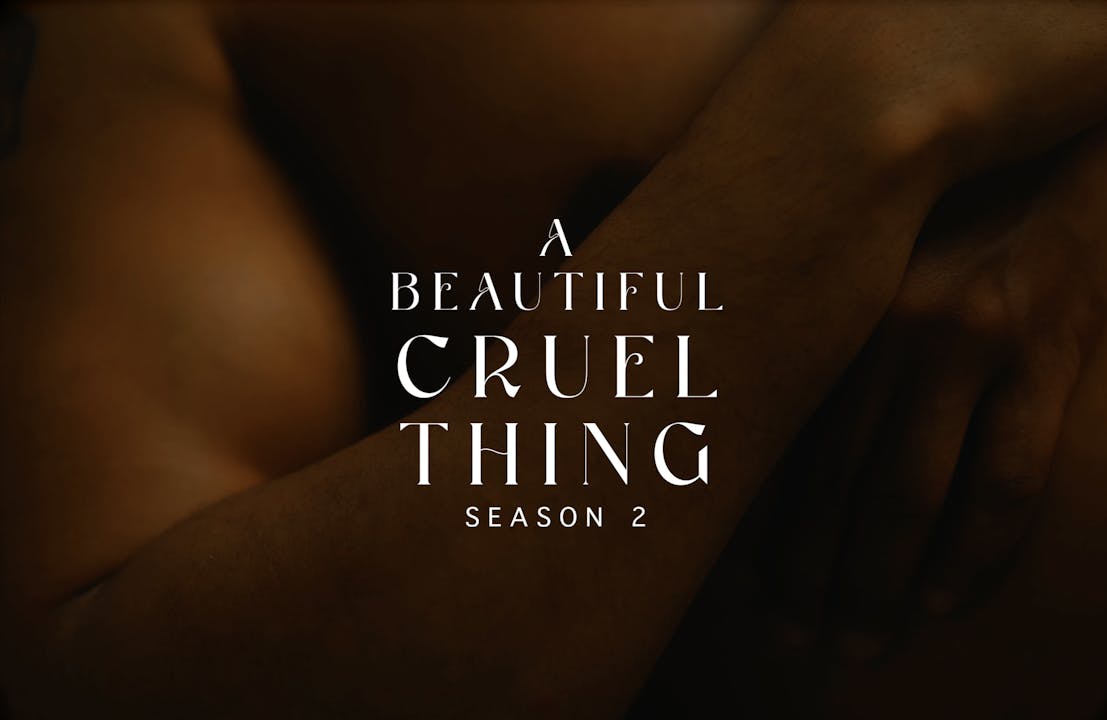 A Beautiful Cruel Thing