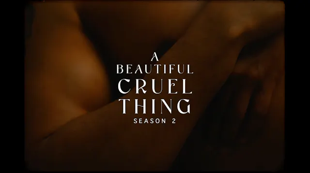 A Beautiful Cruel Thing (2024)