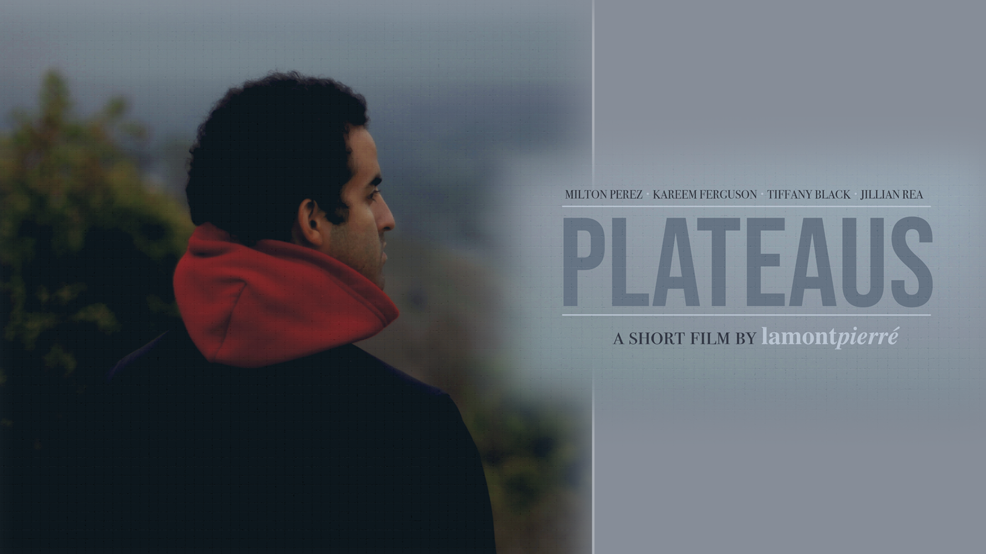 Plateaus (2010)