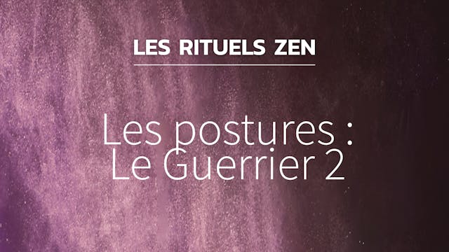 RZ#14 - Le Guerrier 2