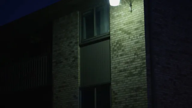 Neutrals Trailer