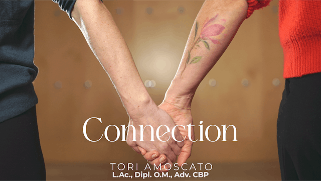 Here's Where to Start: Connection (Mo...