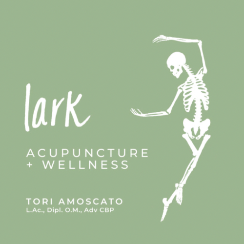 Links to Tools We'll Use