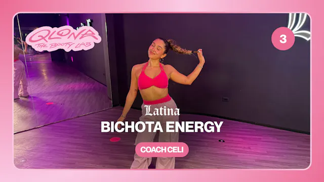 BICHOTA ENERGY