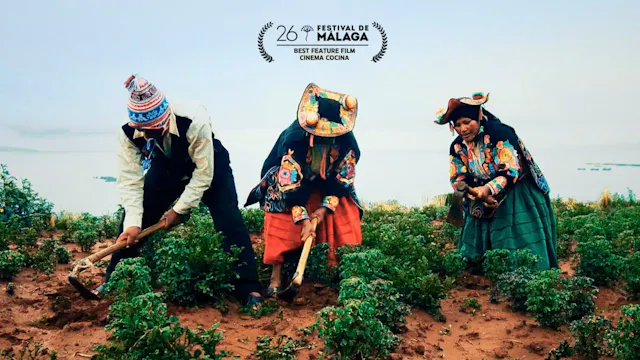 HATUN PHAQCHA, THE HEALING LAND | Latin Quarter Distribution