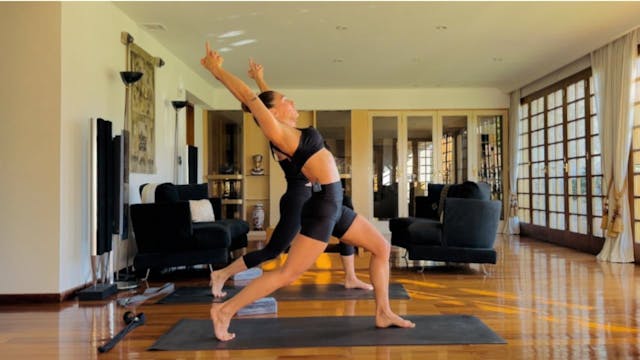 Spinal Movement - Camino a Backbends 