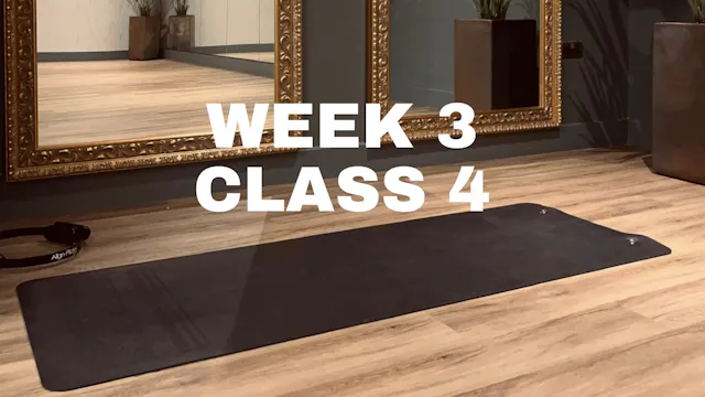 WEEK 3 - CLASS 4 - UPPER BODY ARMS & BACK