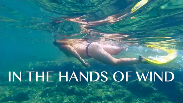 Ep 75 · IN THE HANDS OF WIND