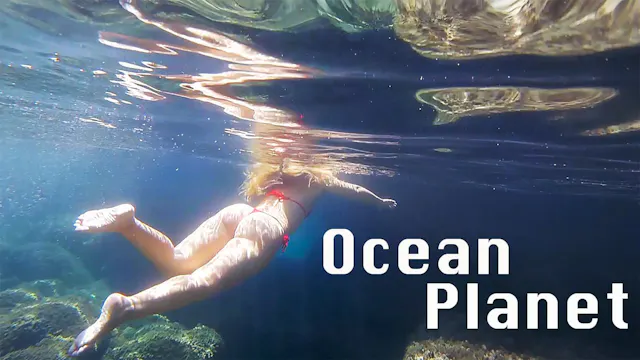 Ep 41 · OCEAN PLANET