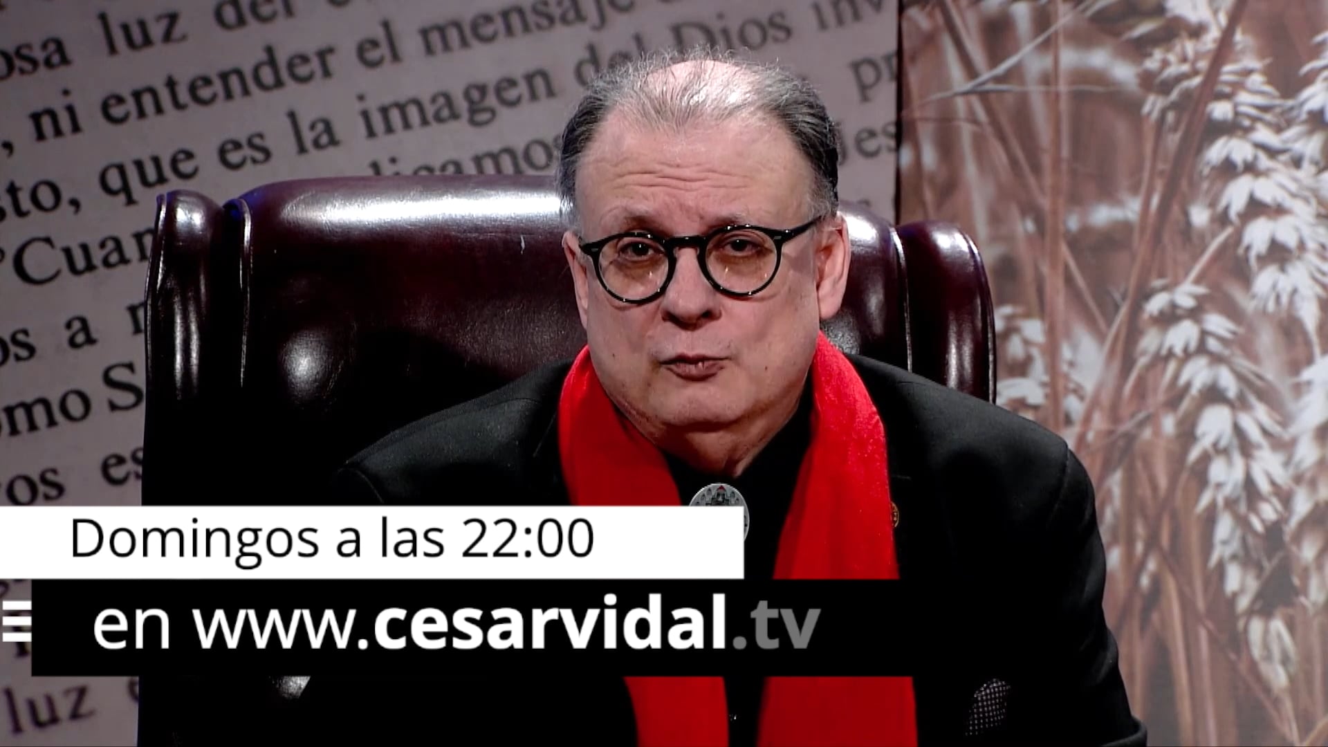 ¿Cómo es la democracia según la idearon los Padres Fundadores?