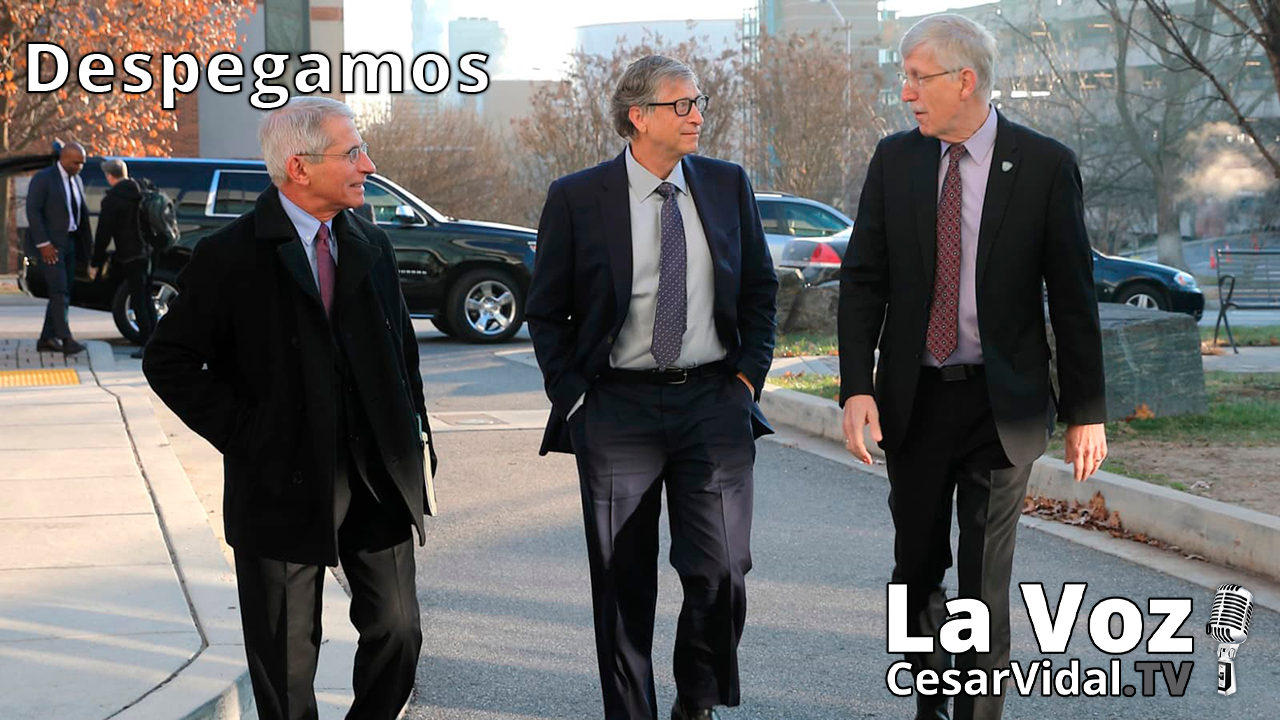 Verdades y mentiras de los profetas de la pandemia - 11/06/21