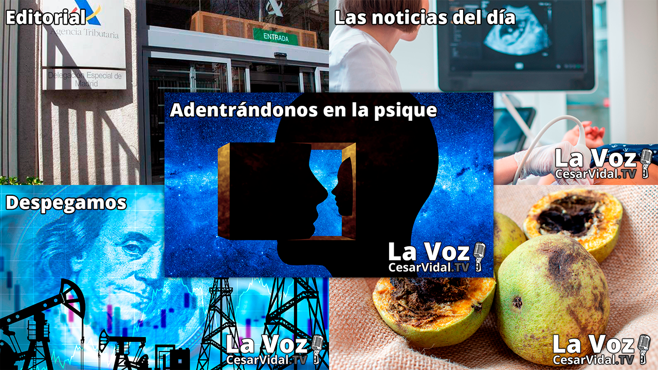 Programa Completo - 24/11/21