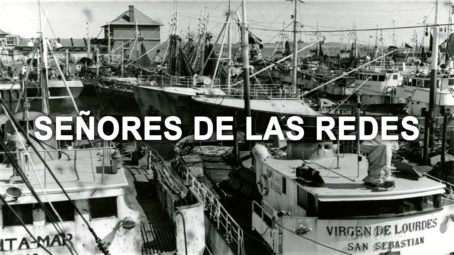 Señores de las redes