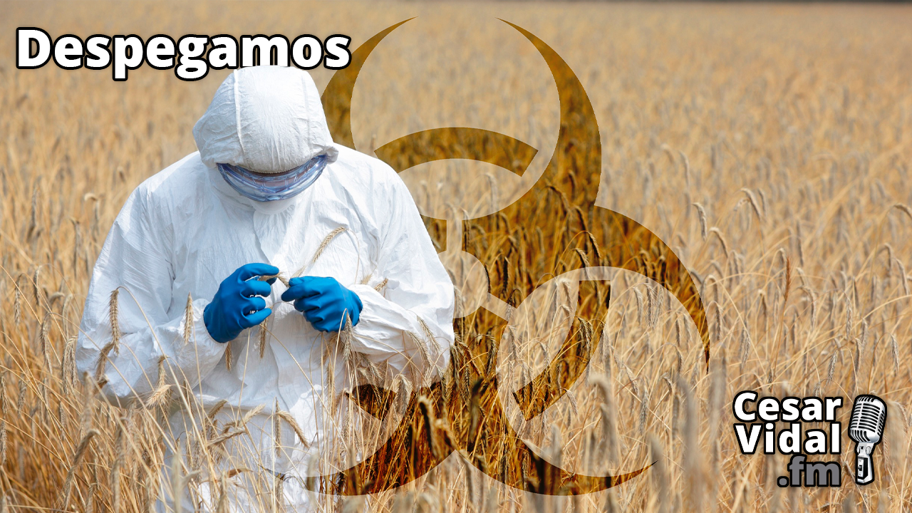 Plantón a Blackrock, fraude fondos UE, relevo en OTAN y cereal tóxico ucraniano