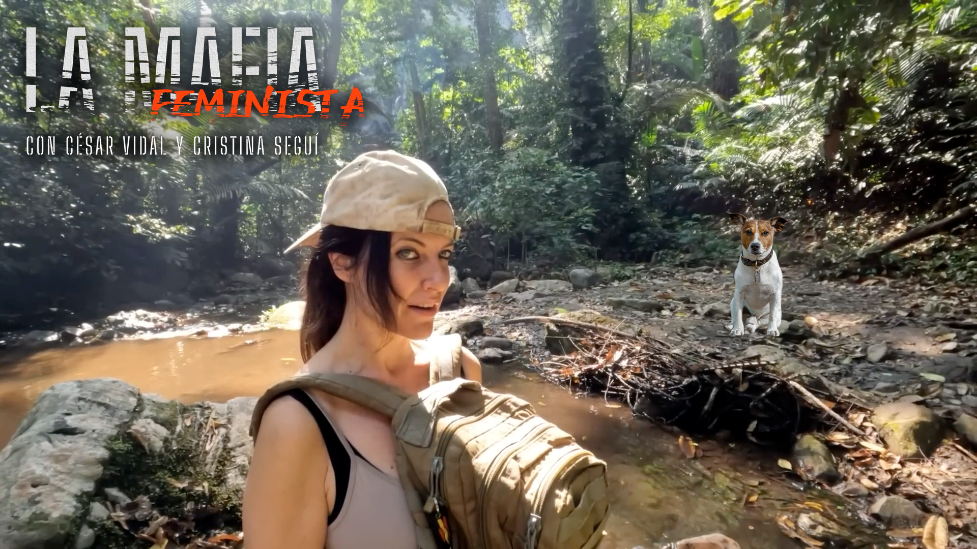 Ley de bienestar animal: 50.000€ por perder a tu perro - 26/03/23