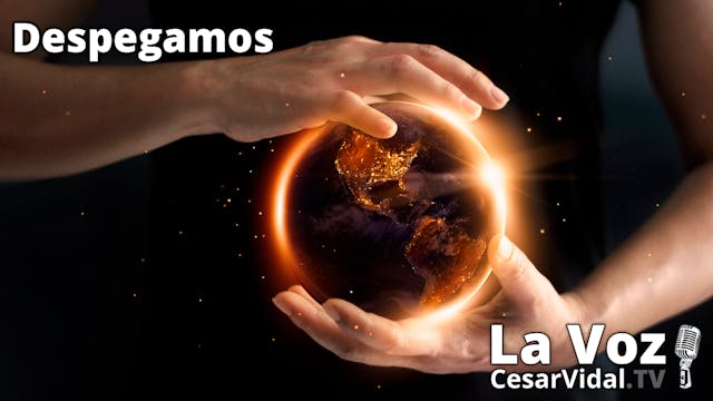Transwarming world: la banca sacrific...