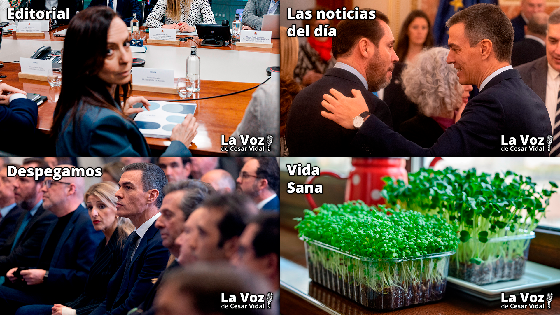 Programa Completo - 06/05/25