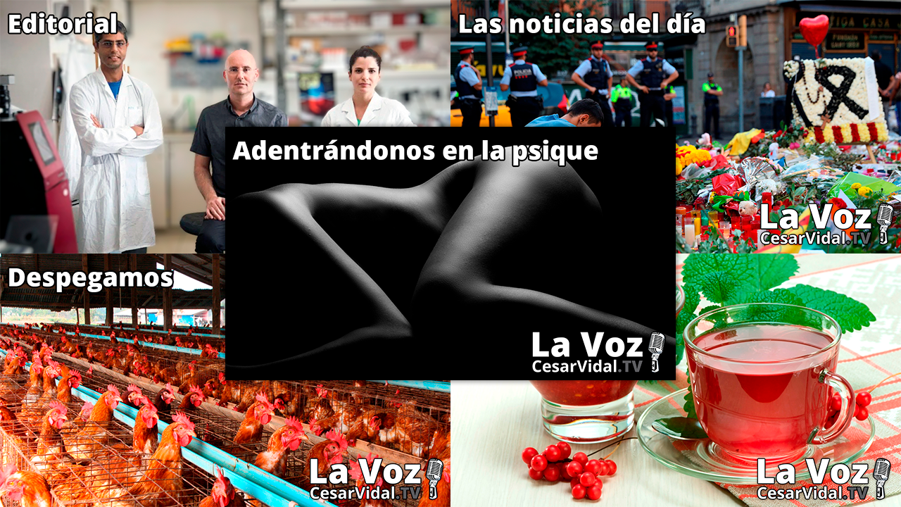 Programa Completo - 12/01/22