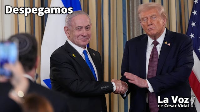 Trampa en Gaza, pucherazo español, ci...