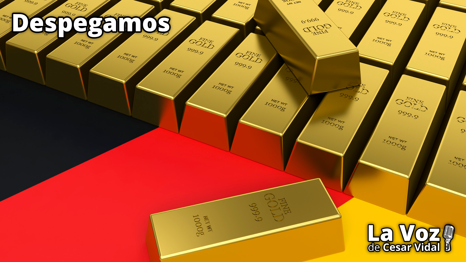 Aranceles MAWA, recortes sociales, agua privada, pobreza argentina y oro alemán