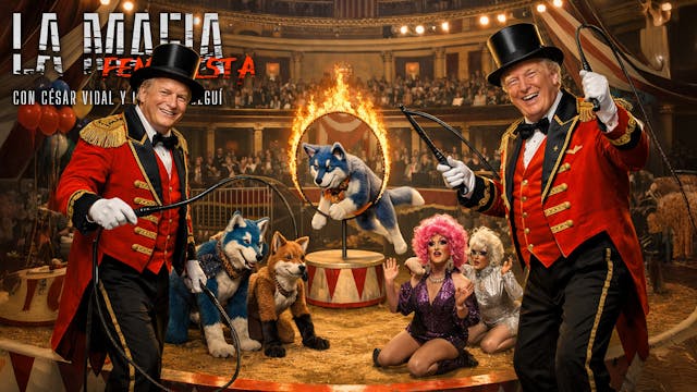 Del experimento queer al hartazgo: EE...