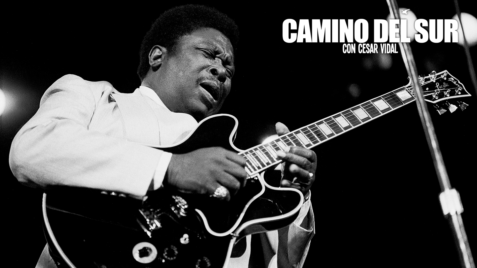 Camino del Sur - 26/02/23