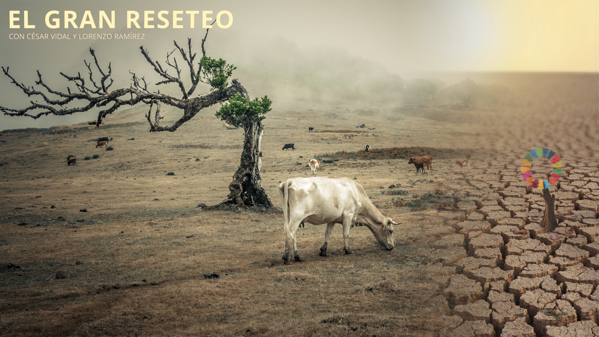 "Reset the table": la guerra de las élites para destruir agricultura y ganadería