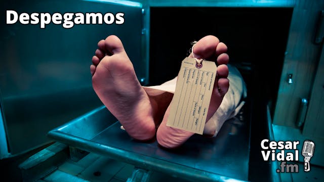 Terapias génicas y exceso de muertes ...