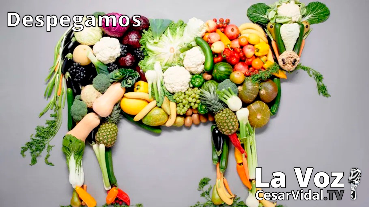 Dictadura alimentaria en tiempos del COVID - 04/12/20