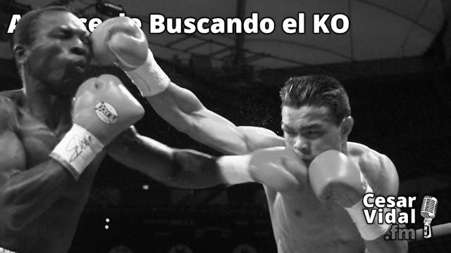 Avance de Buscando el KO - 15/11/24