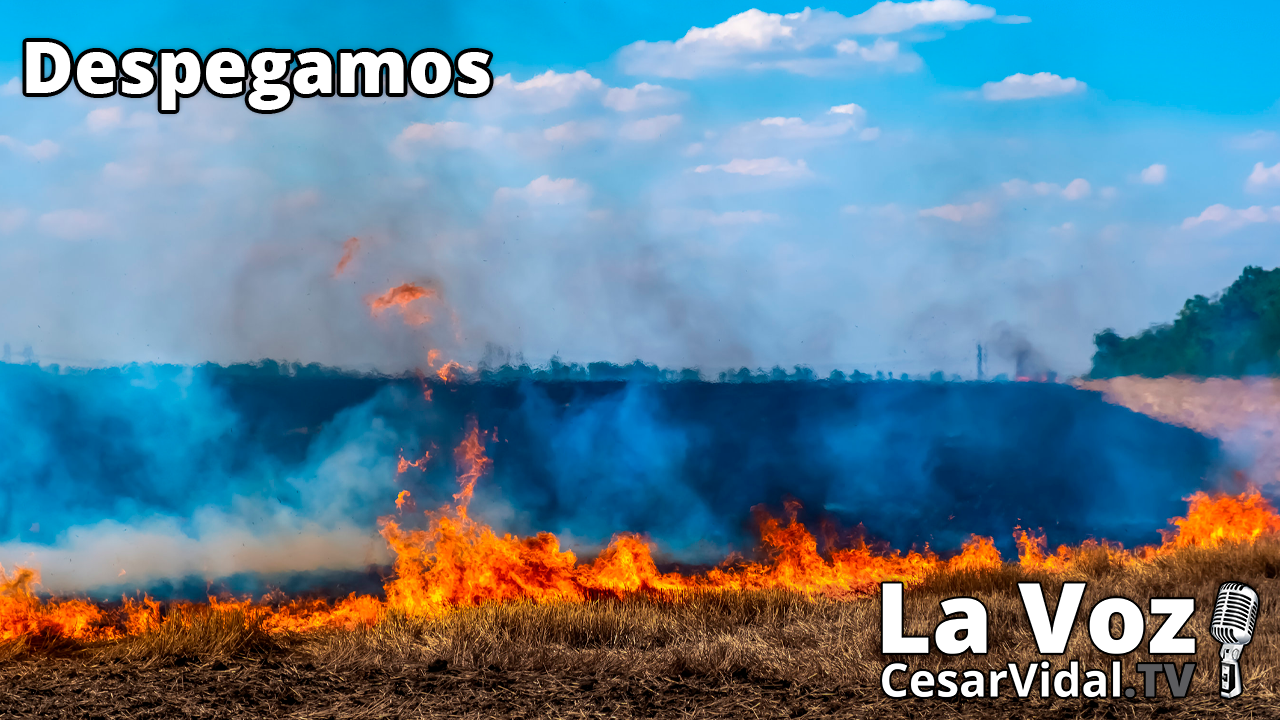 La Gran Hambruna en el Gran Reseteo - 06/05/22