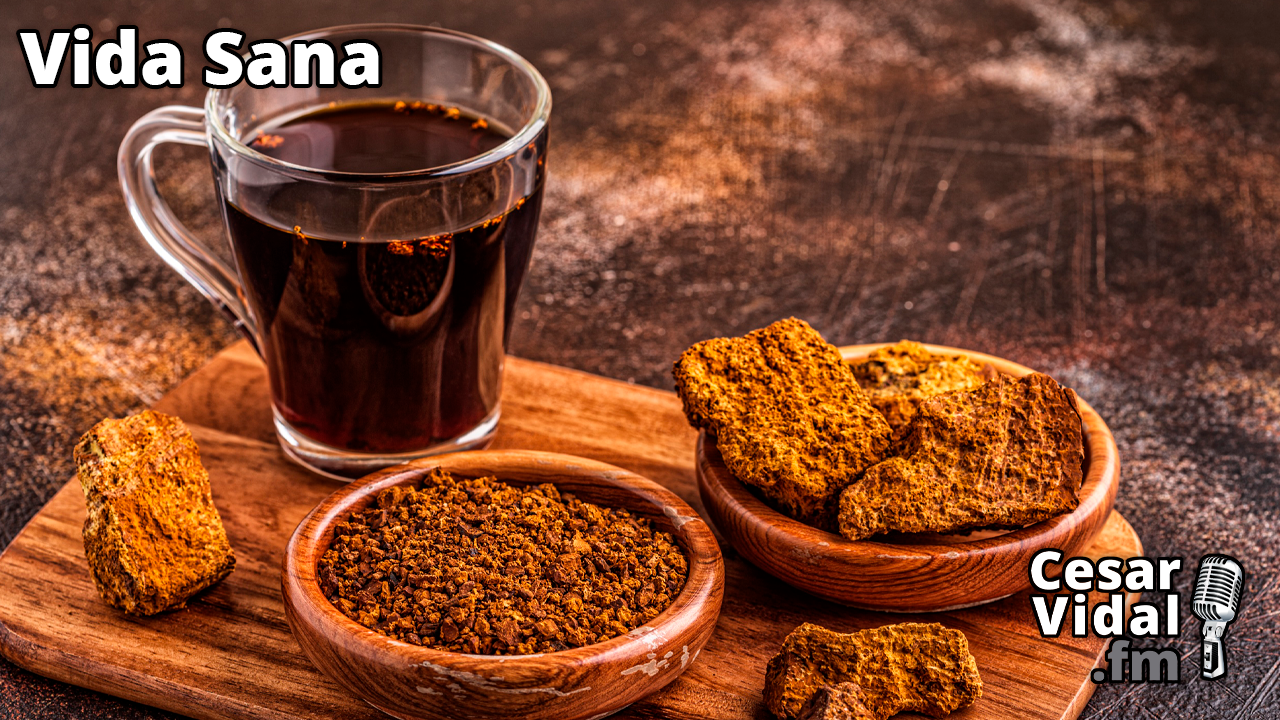  La perla negra o el diamante de los bosques - 21/09/22