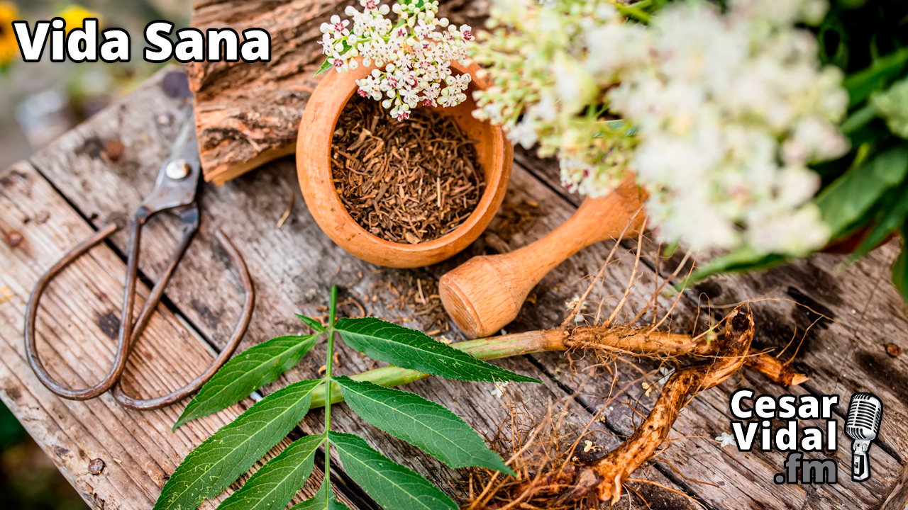 Tu farmacia silvestre - 31/01/24