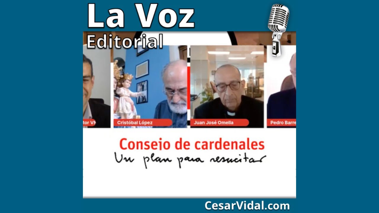 Los cardenales apoyan la agenda globalista - 09/07/20