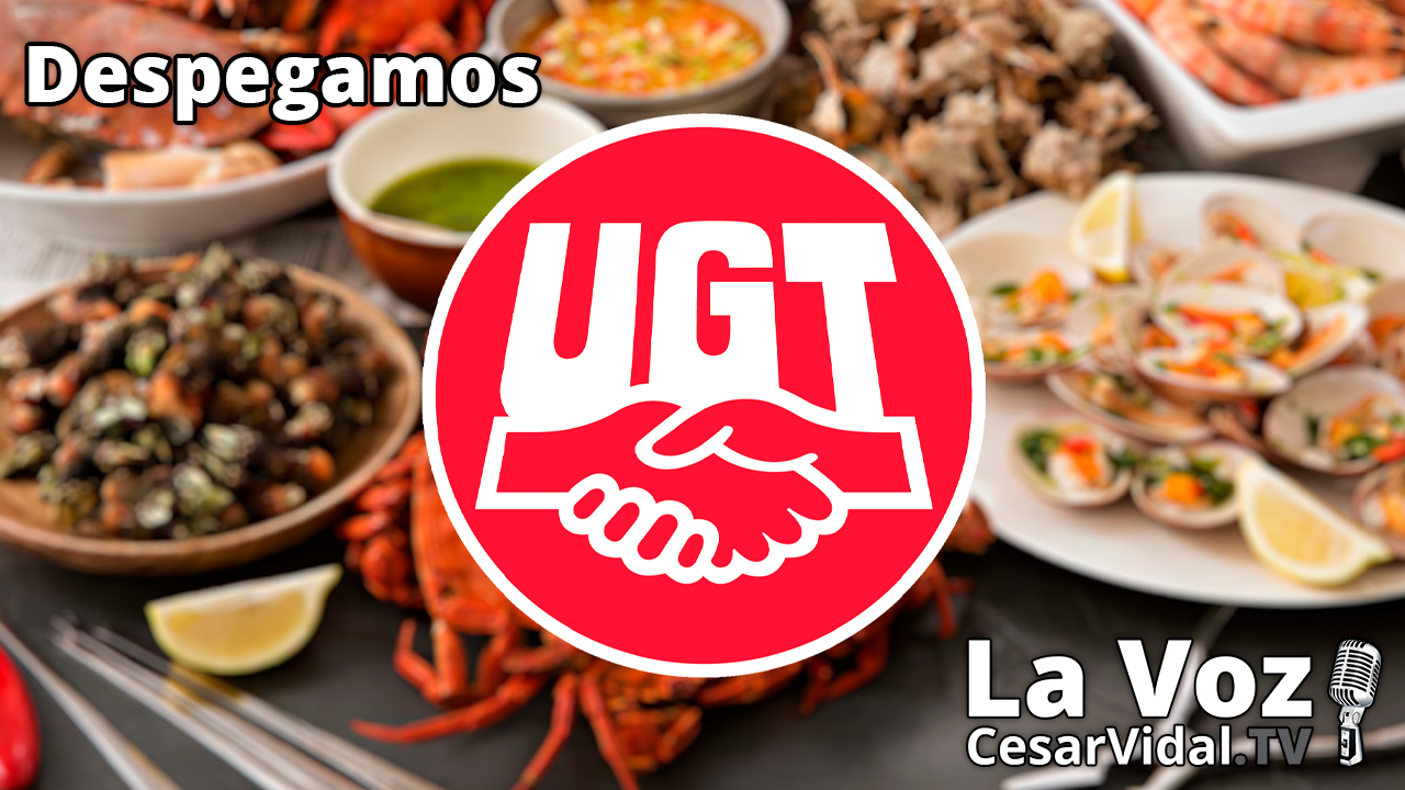 Sindicalistas ladrones, banqueros necrófagos y las gestoras abandonan España