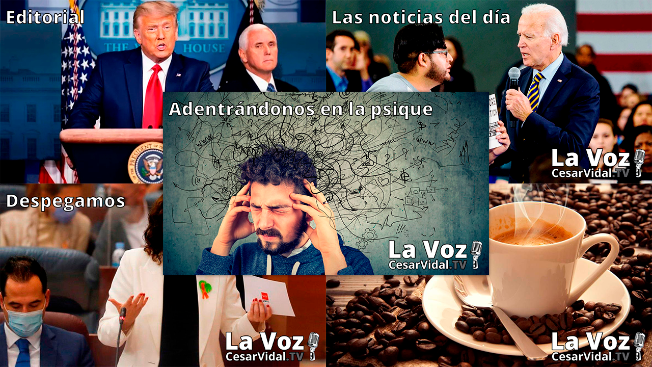 Programa Completo - 25/11/20