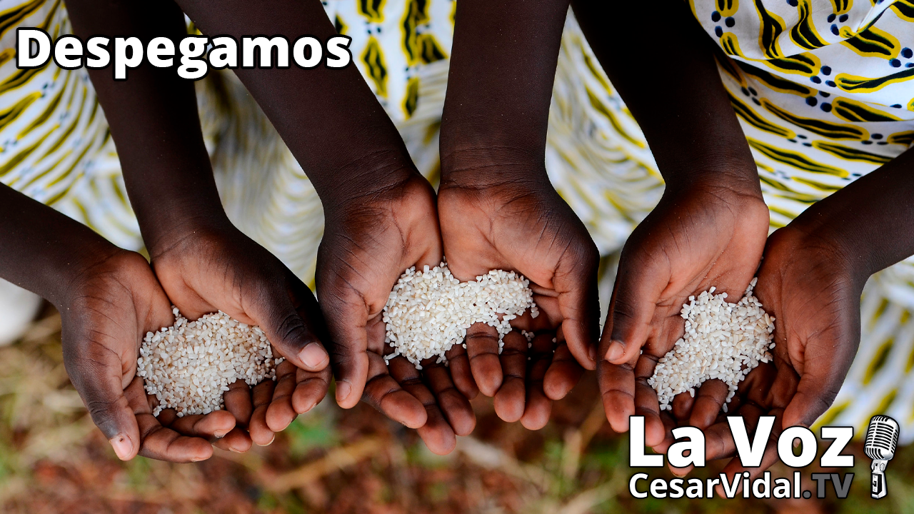 Hambruna en África, Arabia pone los cuernos a EEUU y mentiras del empleo español