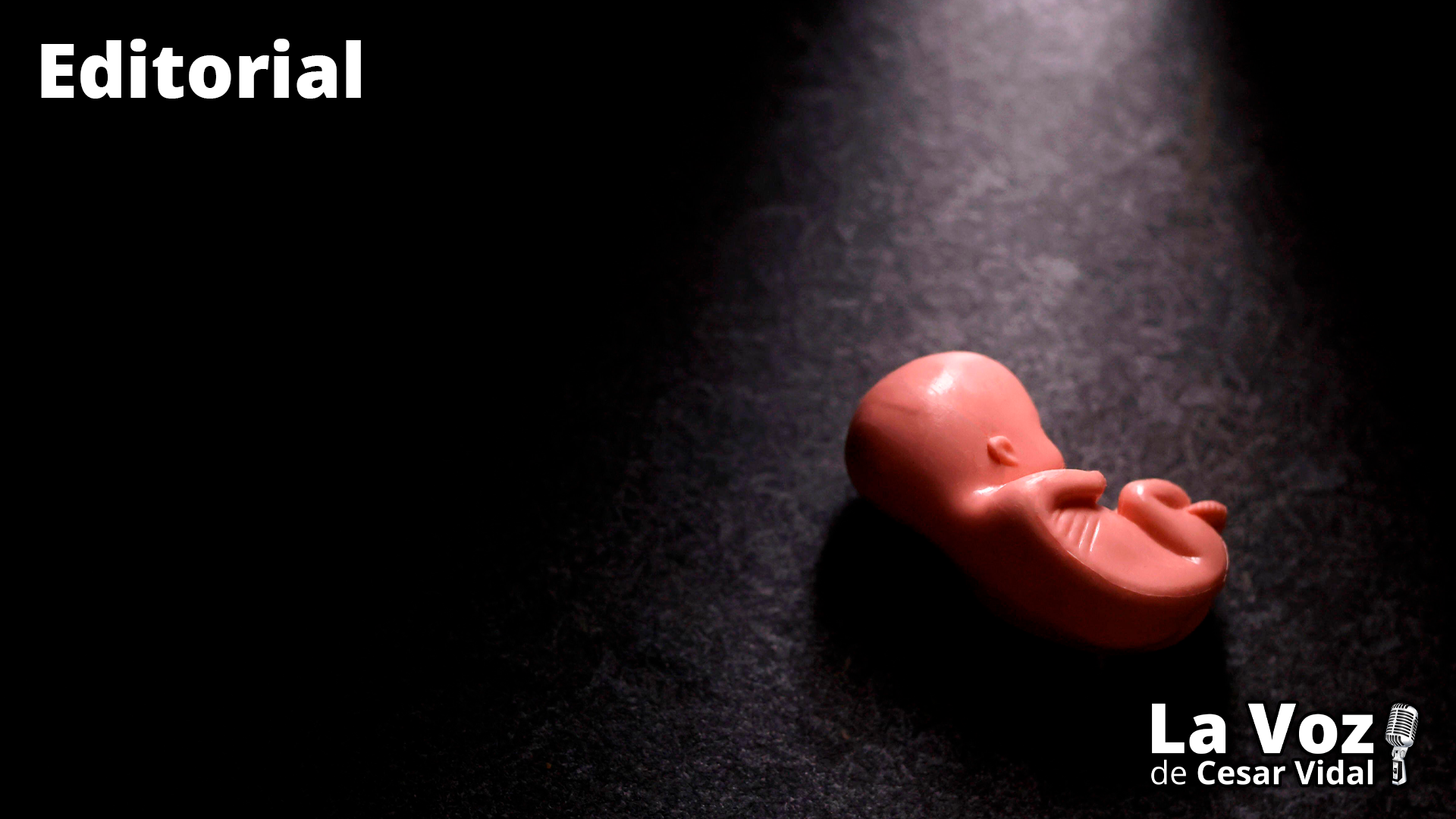 El aborto se convierte en la principal causa de mortalidad - 14/01/26