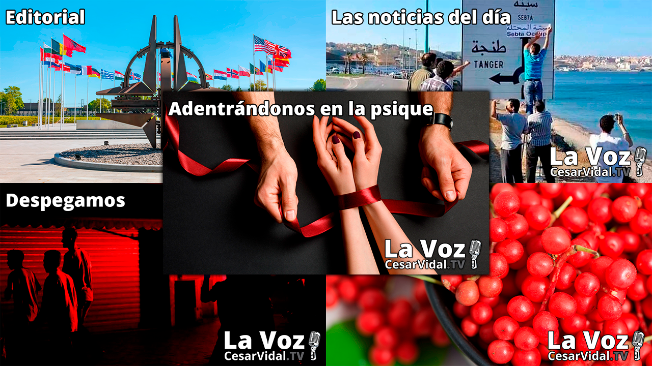 Programa Completo - 26/01/22