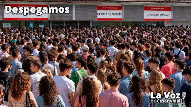 Desastre laboral, pelotazos Trump, se...