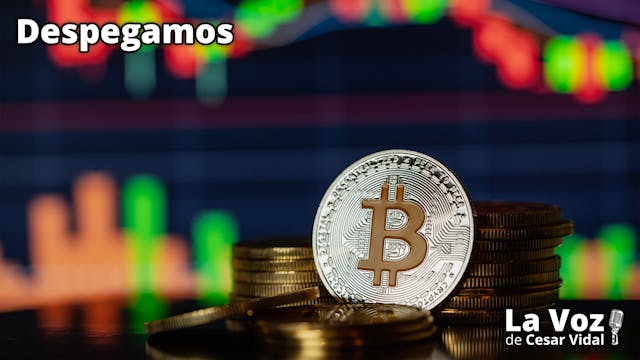 Culebrón comercial, billeteras bitcoi...