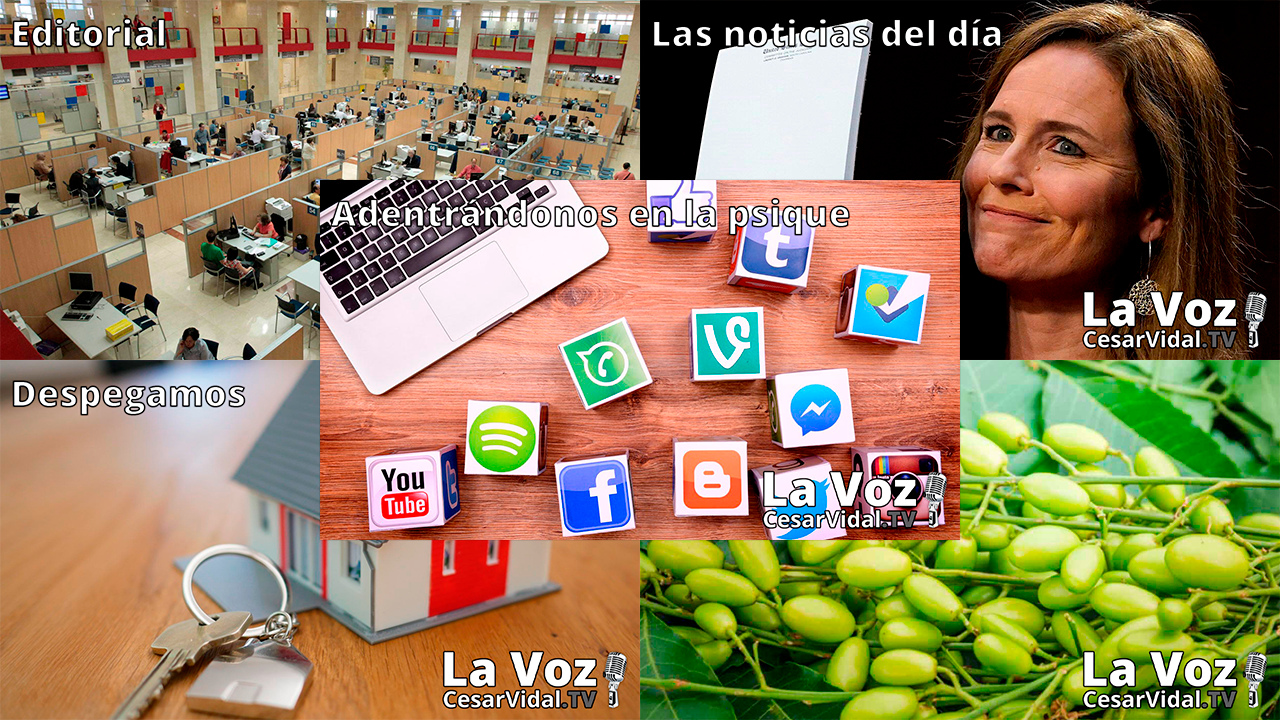 Programa Completo - 14/10/20