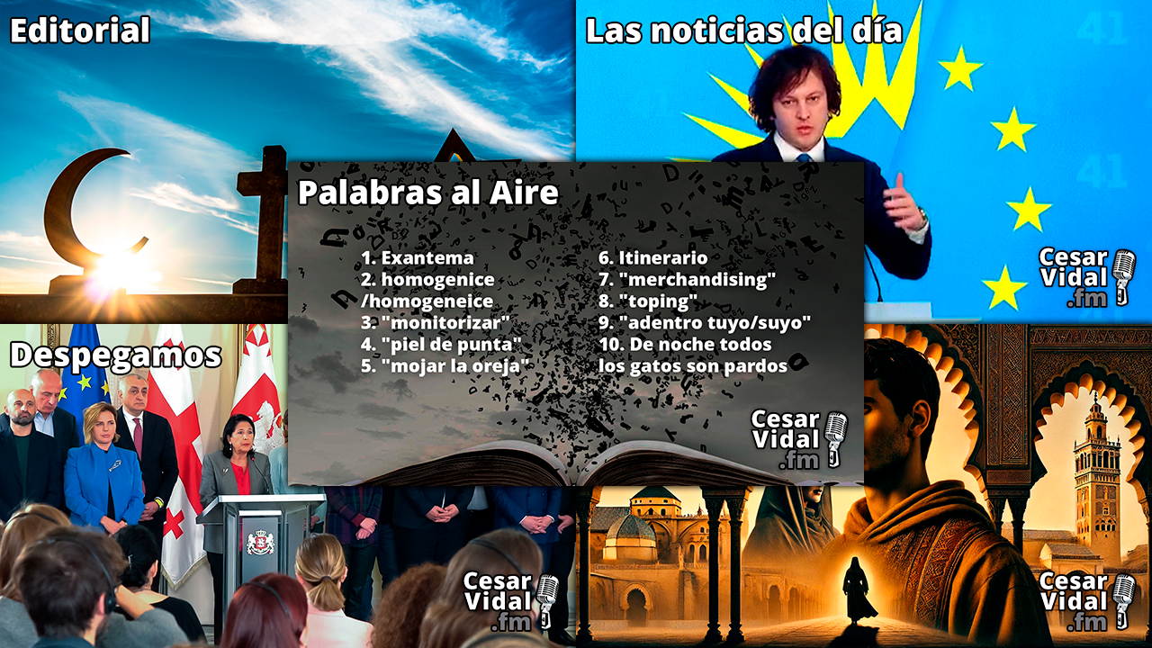 Programa Completo - 28/10/24