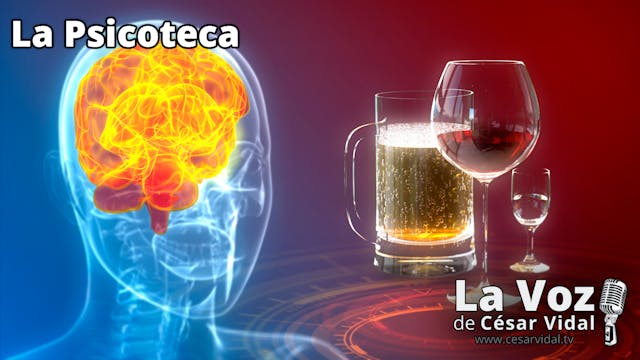 Las neuronas y el alcohol - 19/02/25