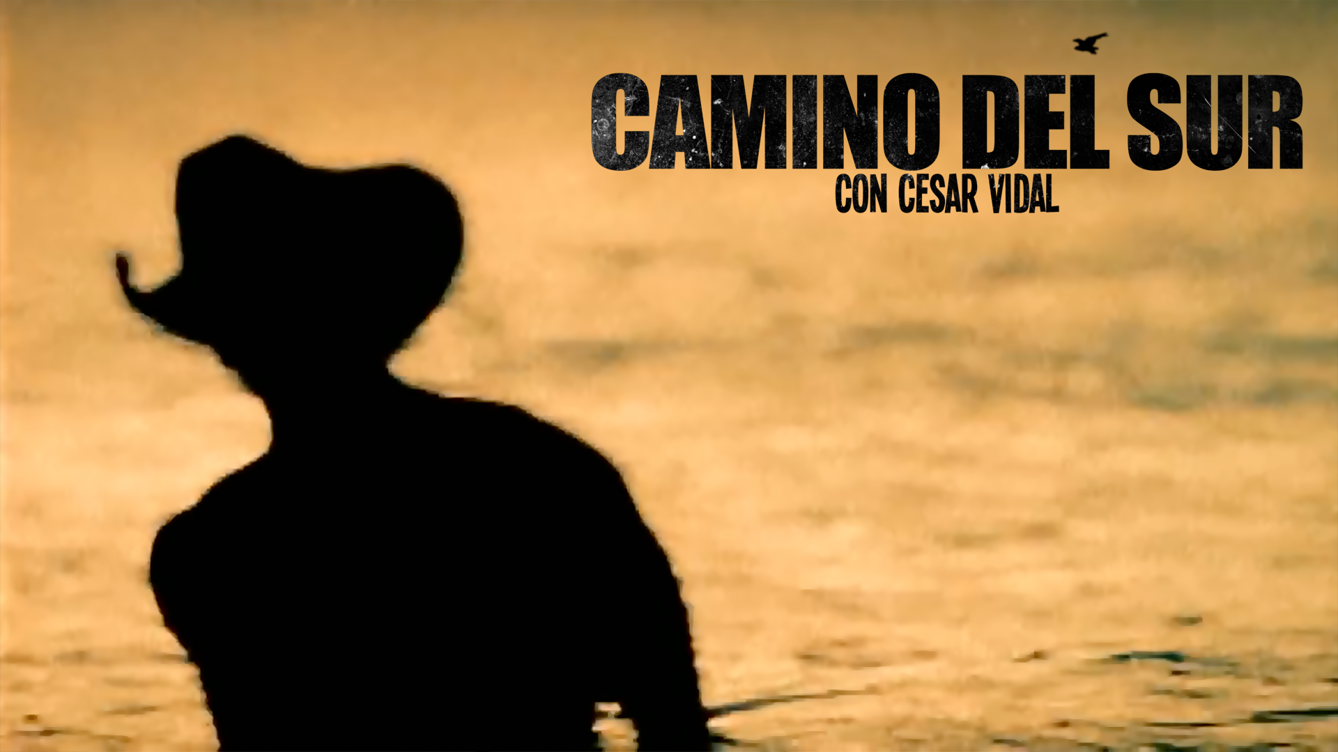 Camino del Sur - 14/03/21