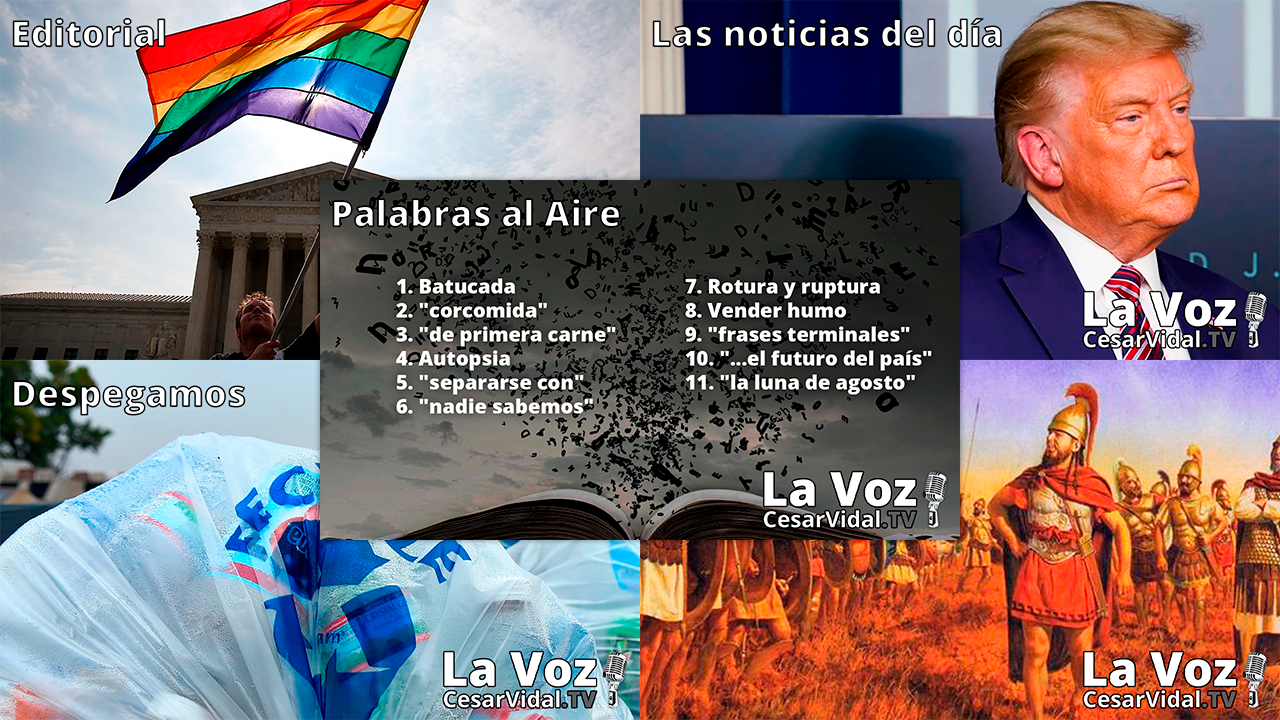 Programa Completo - 23/11/20