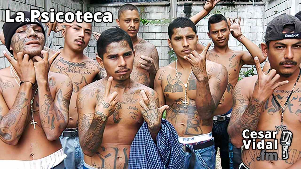 Pandillas y bandas criminales - 22/03/23