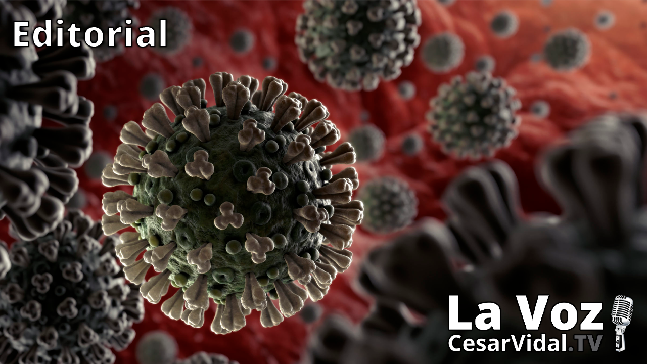 Cui Prodest? - 24/11/20