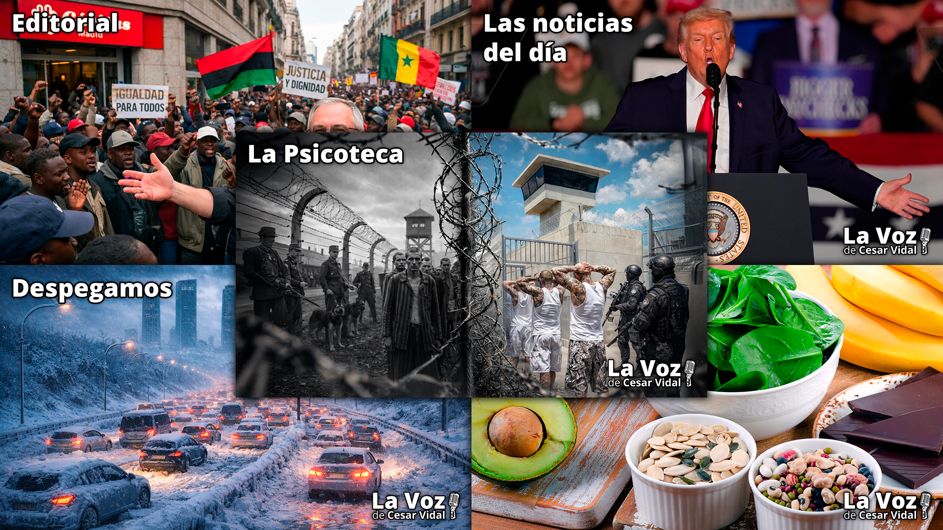 Programa Completo - 28/01/26