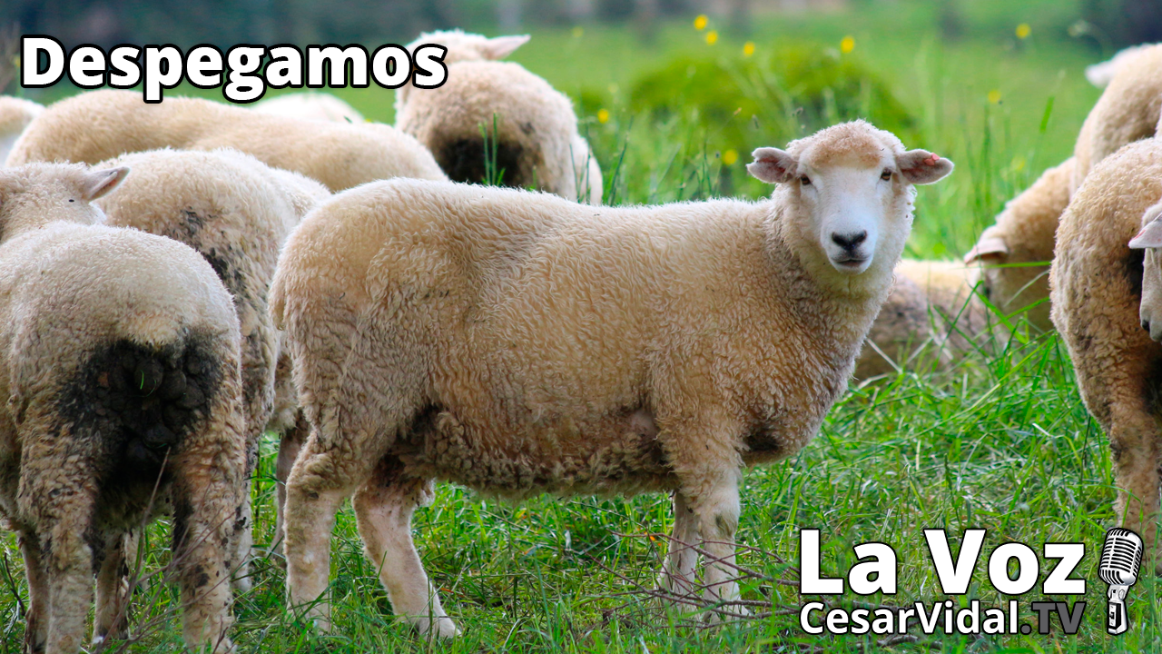 España asusta al BCE, los bonos en la diana de Wall ST y Yellen se cae del burro